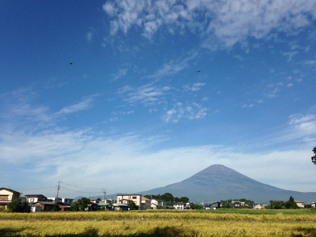 富士山がとても綺麗です。