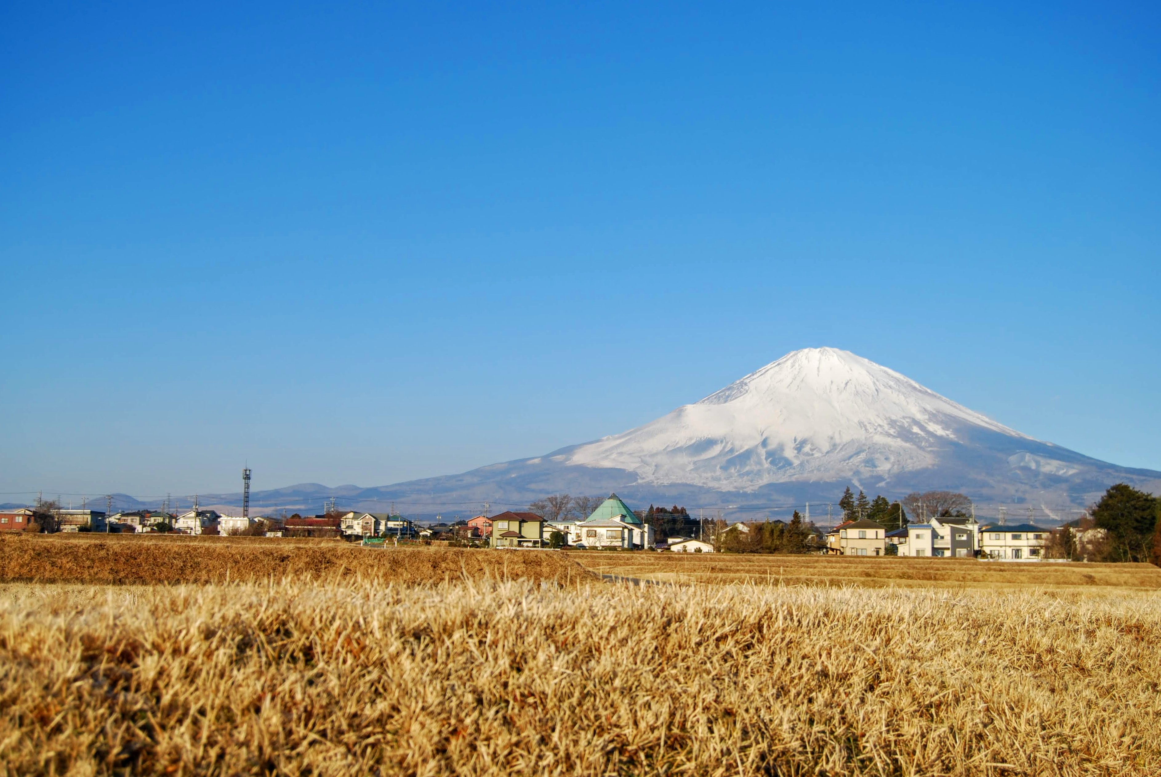 富士山が真っ白です❅
