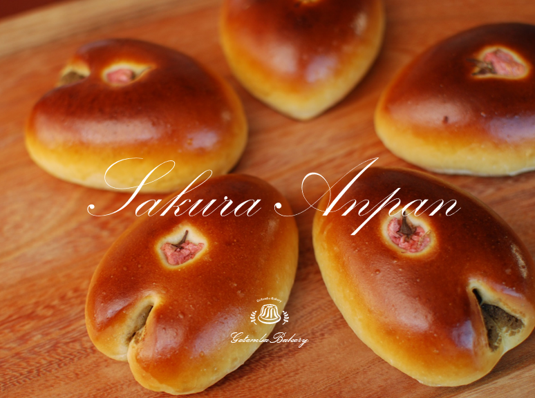 さくらアンパンが始まりました🌸