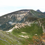 色づき始める山々と、実りを迎える秋の味覚♪